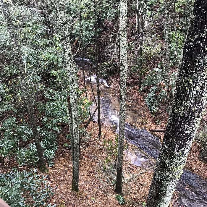 A stream in a forest.