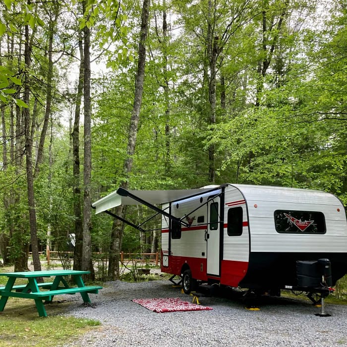A camper parked in a forest.