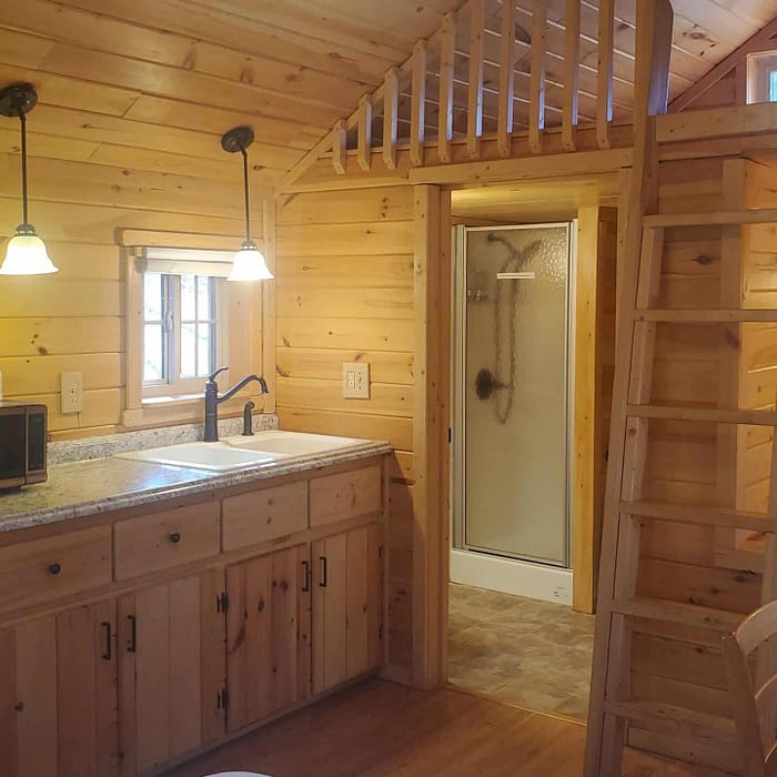 A small cabin in the woods with a stove and sink.