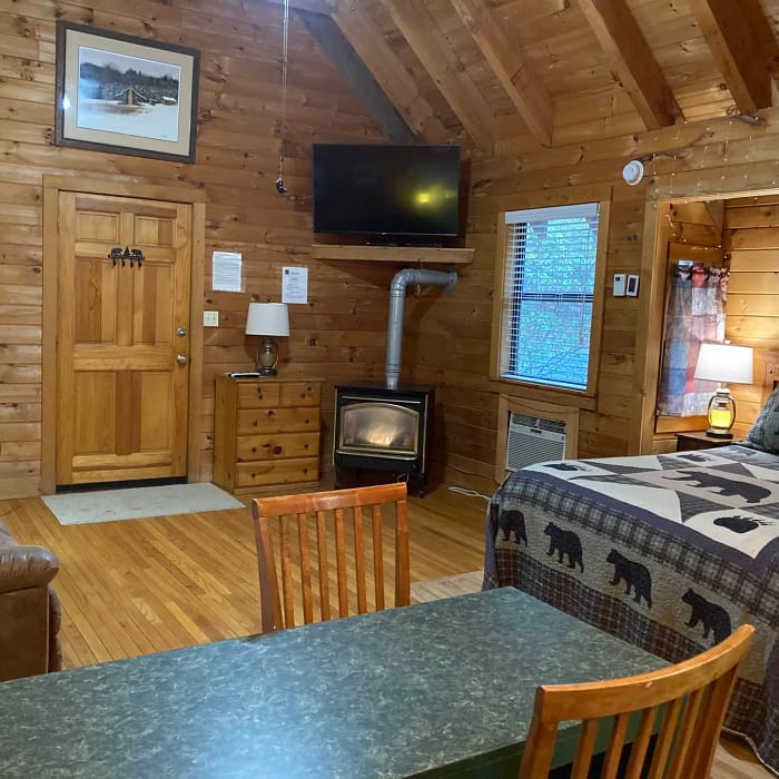 Cozy cabin interior with wooden walls, a small kitchenette, a bed with bear-themed bedding, and a wood-burning stove.