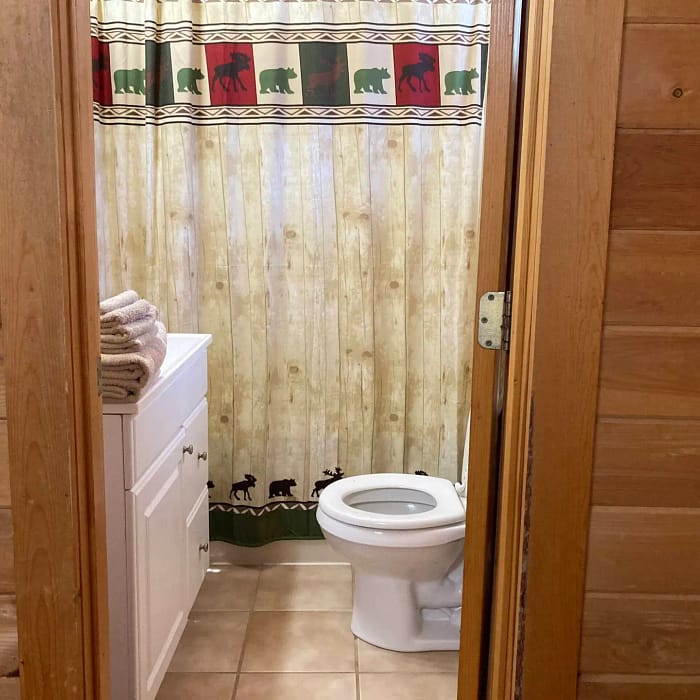 A rustic bathroom interior with wooden walls and wildlife-themed decor.