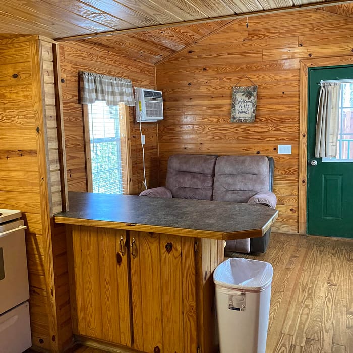 Rustic wooden cabin interior with kitchenette, recliner, and green entrance door.