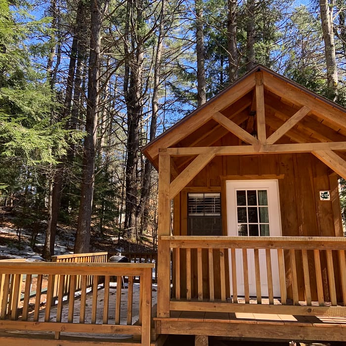 Wooden cabin surrounded by pine trees in a forest setting with patches of snow on the ground.