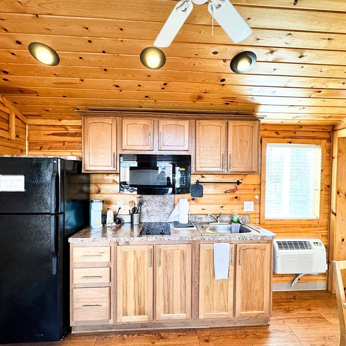 Rustic wooden cabin kitchen interior with modern appliances.