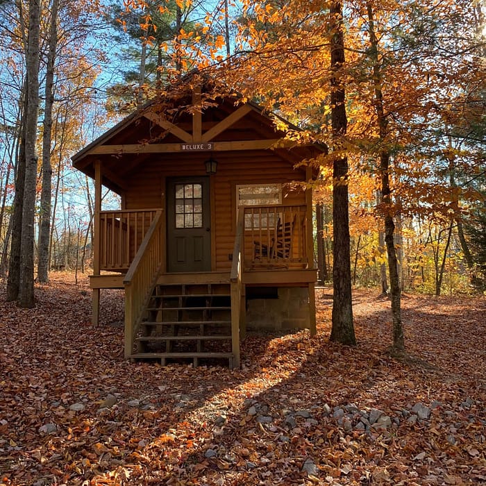 A small, rustic wooden cabin with a porch is nestled among trees with autumn leaves. The ground is covered in fallen leaves, and sunlight filters through the branches, casting a warm glow on the scene. A rocking chair sits on the porch.