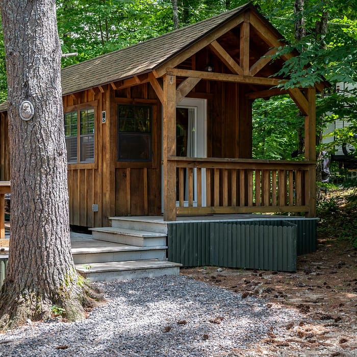 A small, rustic wooden cabin nestled in a forest setting with a slanted roof, front porch with railings, and a few steps leading to the entrance. This charming lodging is shaded by tall green trees, with pinecones scattered on the ground—making it an idyllic place to stay.
