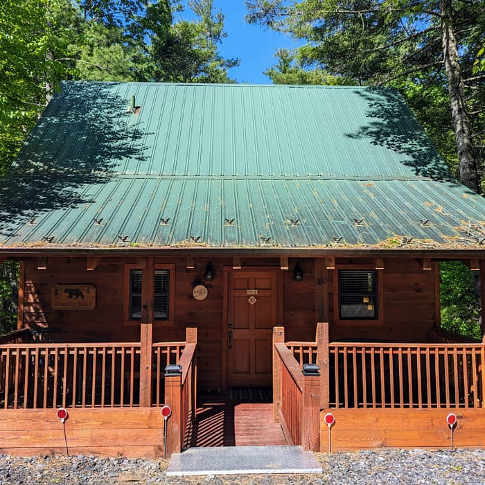 A rustic wooden cabin with a green metal roof is surrounded by lush green trees. The front porch features wooden railings and decorative elements. Bright sunlight casts shadows on the cabin, highlighting the serene forest setting.