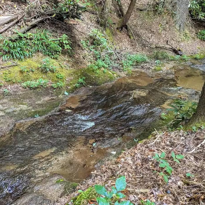 Creek