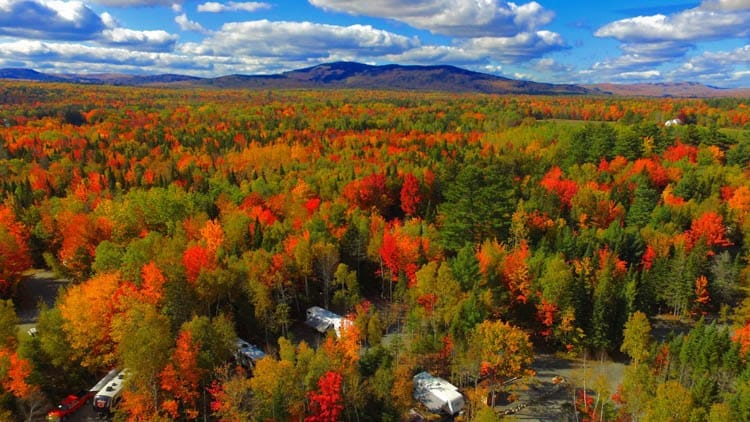 Fall-Colors-Balsam-Woods-Location.-Photo-by-Spacious-Skies-Campgrounds-1-of-1