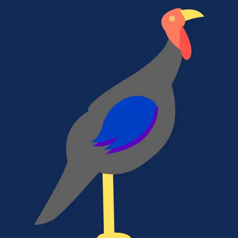 A turkey standing on a dark background at Savannah Oaks.