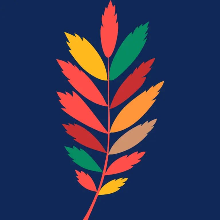 A colorful leaf against a blue background.