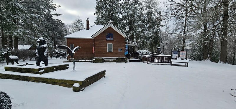 A snowy scene with a wooden cabin, flanked by large trees. In front, statues of a bear and a bird stand on a snow-covered platform. Signs are visible near the entrance, and the ground is blanketed in fresh snow.