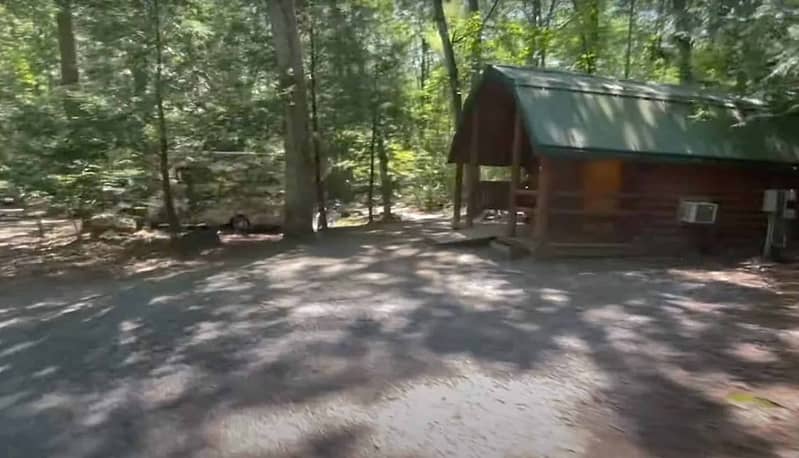 Google earth view of a cabin surrounded by trees in the woods.