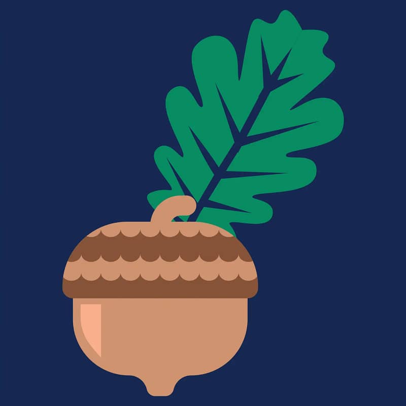 A peaceful community with an acorn and leaf - Country Oaks.