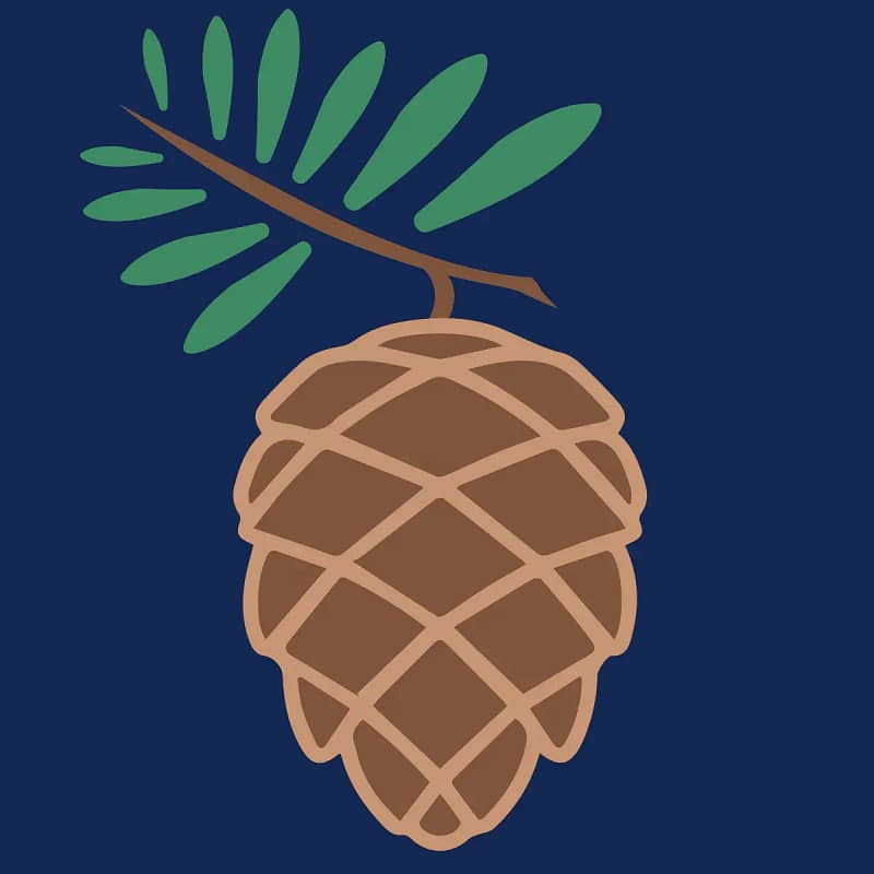 A pine cone on a blue background at Sandy Run.