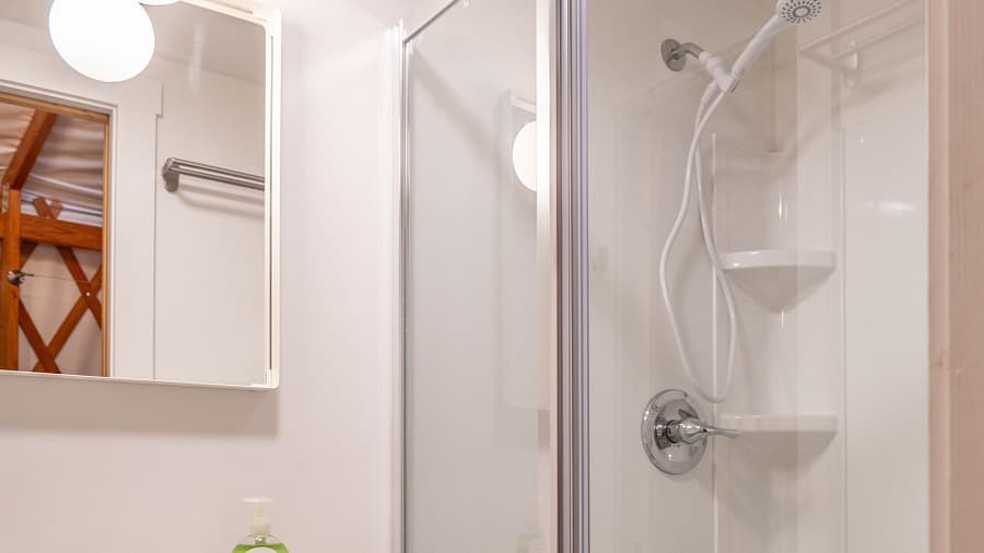 A small bathroom with a glass-enclosed shower, a mounted showerhead, a mirror above the sink, and a bottle of liquid soap on the counter. A towel rack is visible in the mirror’s reflection.