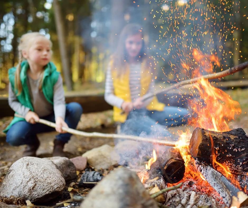 Two children sit around a campfire in a forest, roasting marshmallows on sticks. The flames are bright, and sparks fly into the air like an auto draft in the night. One child wears a green vest, and the other wears a yellow vest. Surrounding the fire are rocks and logs.