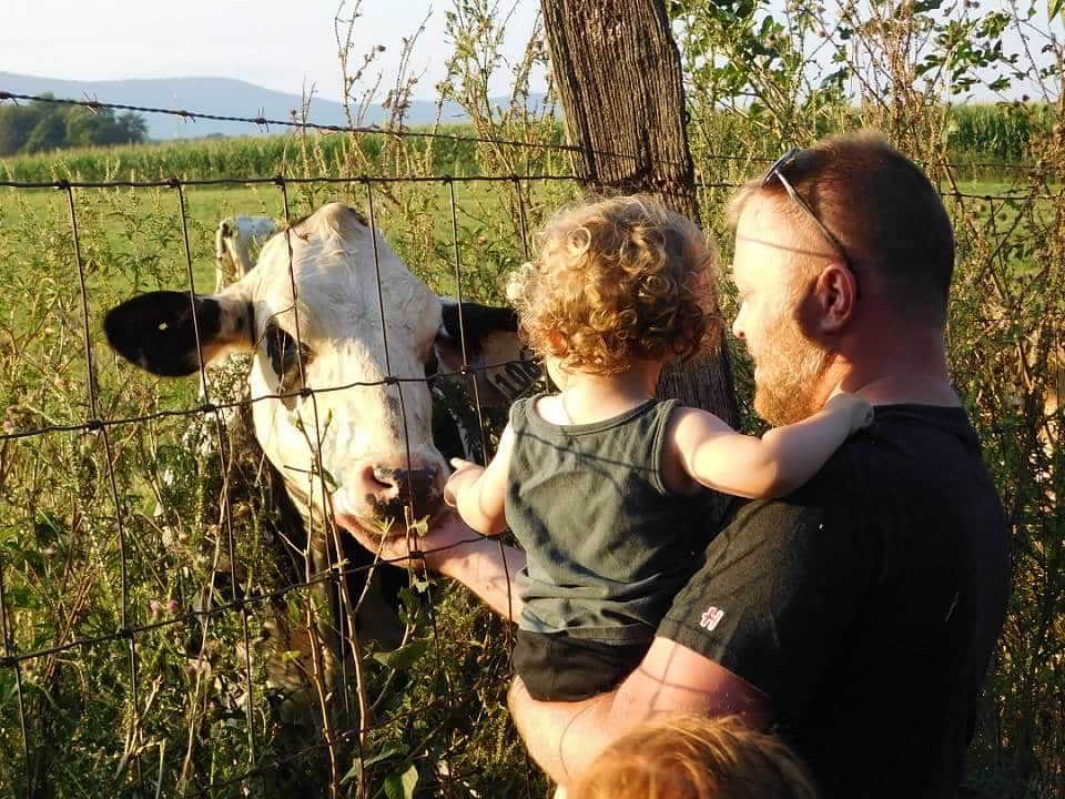 A man and a child feeding a cow in a spacious field.